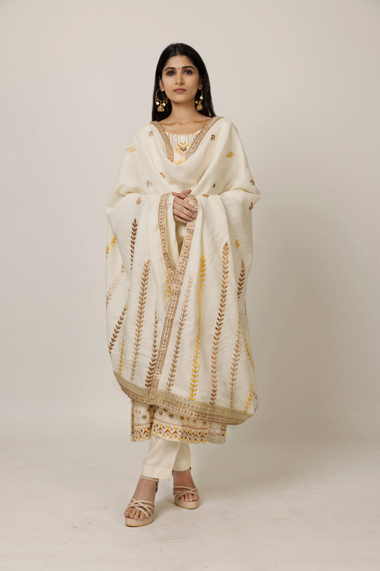 2 Punjab  - Long kurta set